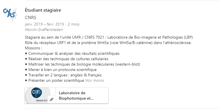 Ejemplo de una experiencia de LinkedIn para estudiantes bastante bien informada