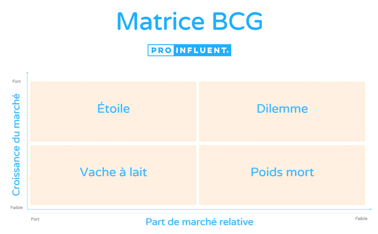 Comment réaliser une matrice BCG