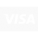 Paiement sécurisé Visa chez Linkinfluent